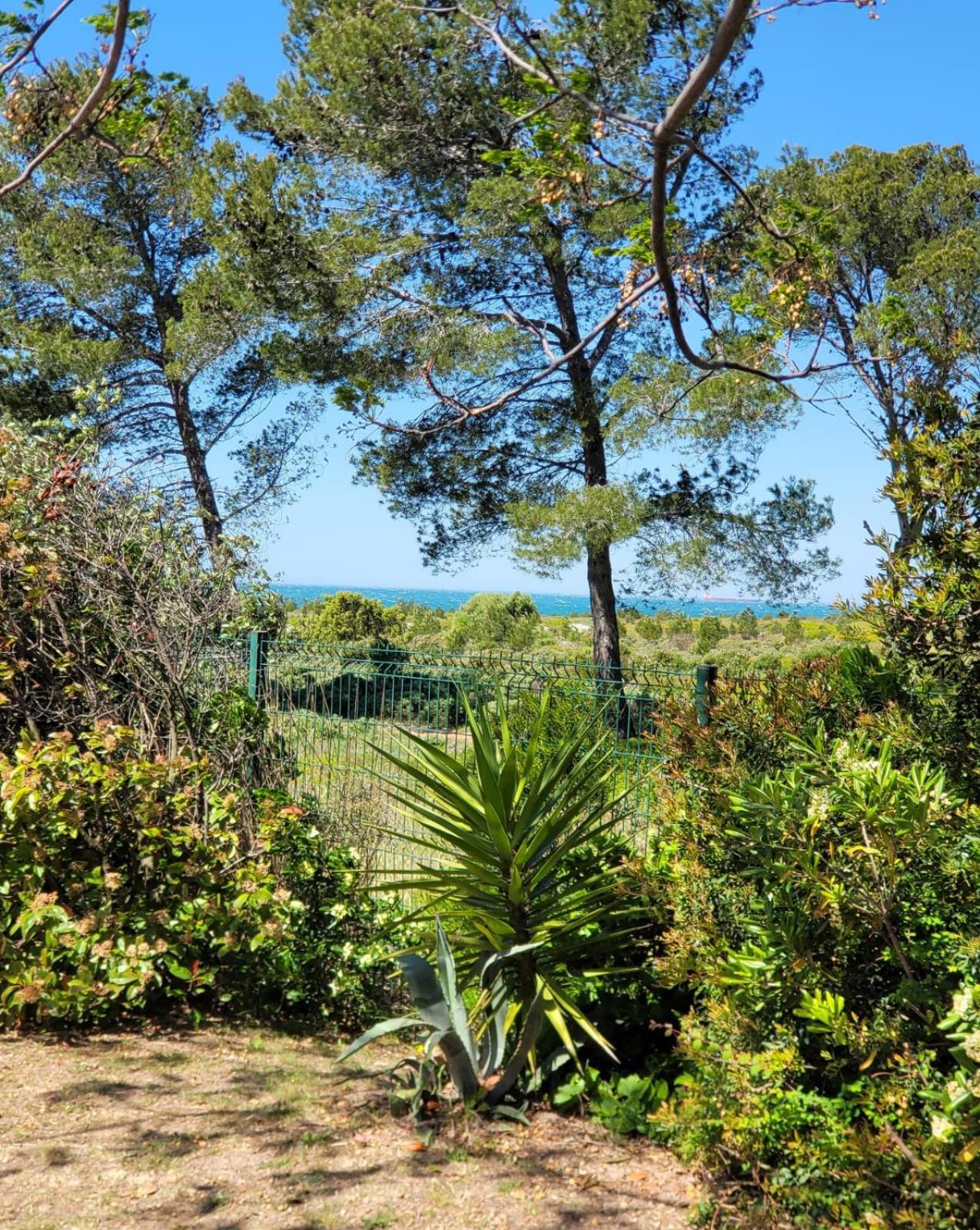 Appartement De La Cote Bleue Martigues Exterior foto